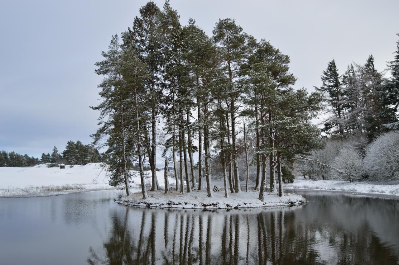 The Pines - Luxury 3-Bed Apartment Near Golf & Spa, Gleneagles, Auchterarder Exteriör bild